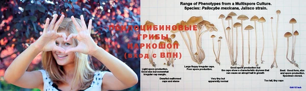 кокаин колумбия Баксан