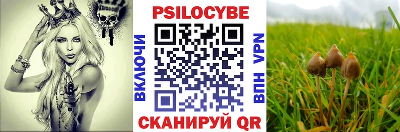 Галлюциногенные грибы ЛСД маркетплейс как зайти Вяземский